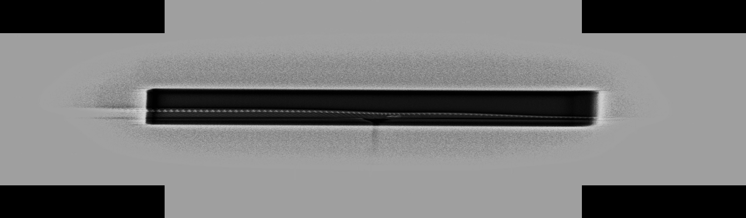 X-ray — hemipenis calcification in a snake